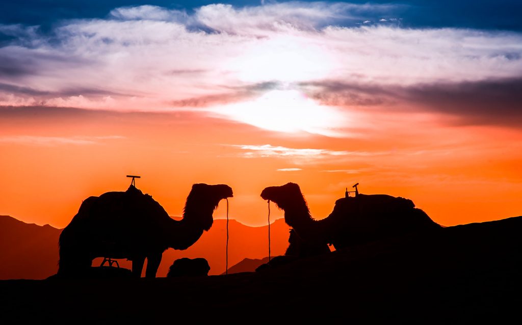 Tour de 2 días, Escapada al desierto de Merzouga desde Fez